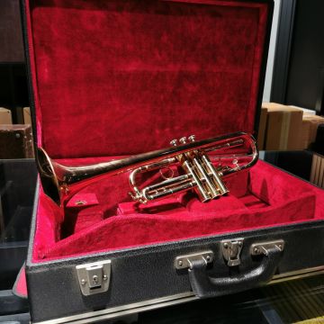 TROMBA DO SELMER C700 CON CUSTODIA USATA