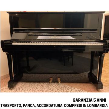 BECHSTEIN USATO