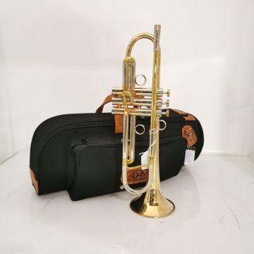 TROMBA ADAMS LT ROVBRASS CON CUSTODIA USATA