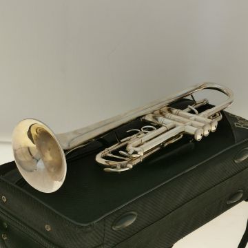 TROMBA BACH TR650 SILVER CON CUSTODIA USATO