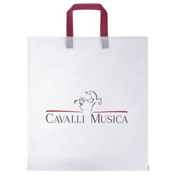 Borsa regalo Cavalli Musica 44x48cm