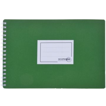 Libretto banda Scomegna 10 buste 22,5x15cm verde 157gr 