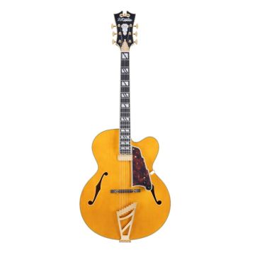 D'Angelico Excel EXL1 amber