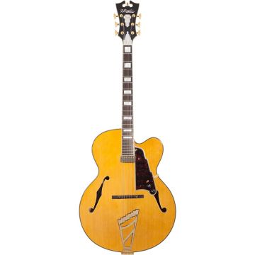 D'Angelico Excel EXL1 Style B amber