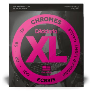 D`Addario ECB81S