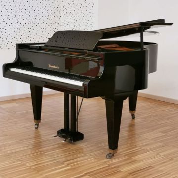 BOSENDORFER USATO