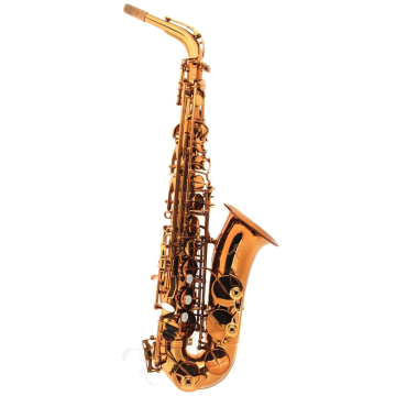 Sax Alto Rampone & Cazzani Performance laccato con custodia