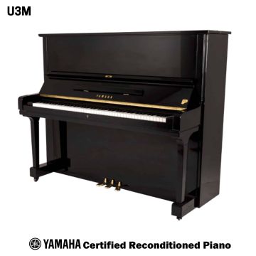 YAMAHA U3 M 1429209 USATO