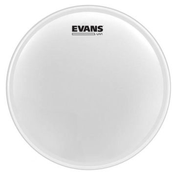 "Pelle Evans 16"" UV1 Coated "