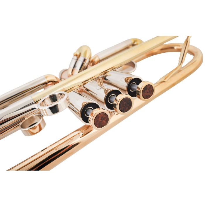 Trombe Strumento Tromba in B A B Strumento a Tromba (Color : Gold) :  : Strumenti Musicali