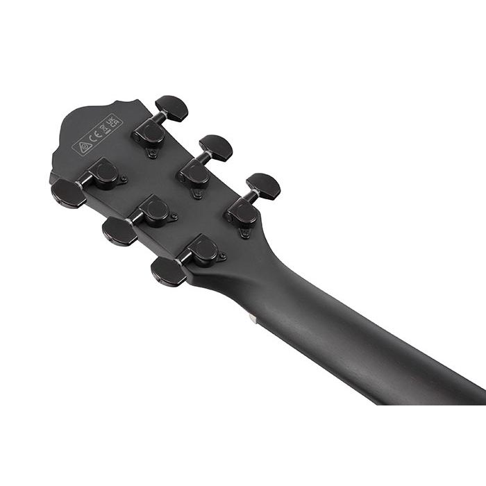 Chitarra Acustica Elettrificata Ibanez AEWC13-WK weathered black